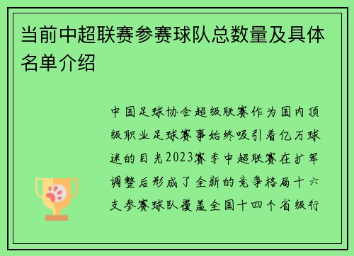 当前中超联赛参赛球队总数量及具体名单介绍